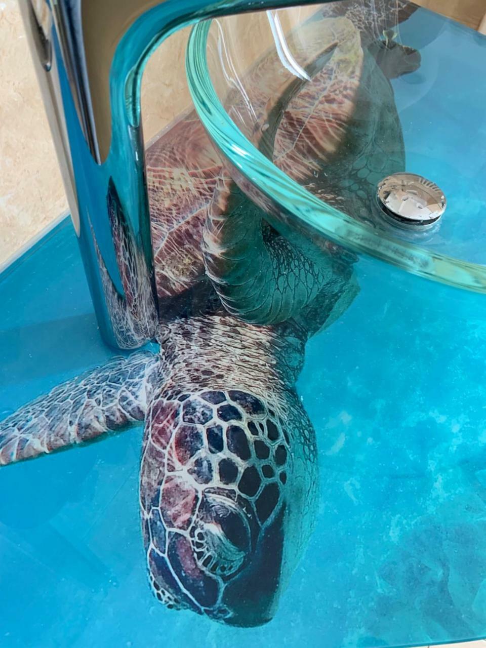 Hotel Residence Veliero Riccione Zewnętrze zdjęcie